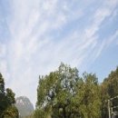 이규채 선생 행적비 이미지