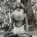 푸리바바 이미지