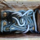 장어농장 이미지