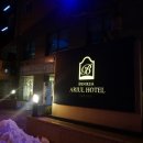 베니키아아리울관광호텔 이미지