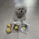 멍멍디저트 이미지