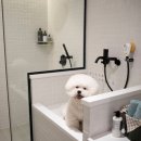 빌라드루이 이미지