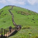 다리안민박 | 소백산 칼바람