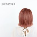 로즈헤어클럽 - 동작구 | 로즈헤어클럽