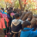 가학산자연휴양림 유아숲체험원 이미지
