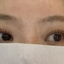 올단 이미지