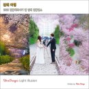 백일아침고요산길 | 2022 벚꽃개화시기 경남 진해 벚꽃명소 드림로드 경화역 여좌천 벚꽃축제
