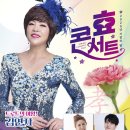 효 콘서트 이미지