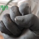 전설애김밥