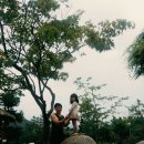 조종생활체육공원 이미지