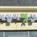 더데일리펫샵 이미지