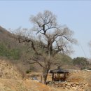 점재화장실2 이미지