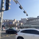 5413 | <review> 볼로냐 일러스트 원화전 후기 | 예술의 전당 | 도슨트 해설 | 예술활동