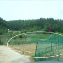 손양면사무소 이미지