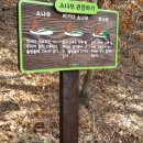 나무와간판 이미지