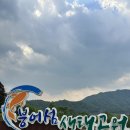 임실엔치즈하우스 붕어섬 | 임실 붕어섬 작약꽃 후기 출렁다리와 꽃 군락 여행 코스