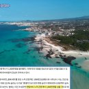 웨이브디 이미지