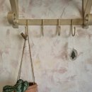 스테이 도토리 이미지