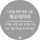 가메조네 이미지