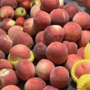 따자하오 이미지