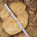 은평-064 이미지