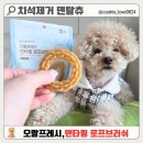 이너피스 | 강아지 양치 사각지대 고민 끝! 치아편식 잡아주는 닥터 이너피스 덴타링 10일 리얼 후기 ✨