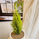 상남동141 이미지