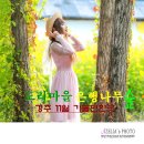 도리마을 숲 이미지