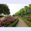 곡성-025 이미지