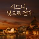 시드니 야경 TOP3 정리 – 오페라하우스, QVB, 바랑가루