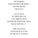 도그마루 강아지 고양이 마포용산점 이미지