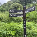 종자산 등산로 이미지