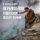 THE PENNY 동전노래연습장 | 뉴질랜드 로토루아 -실제 마오리족이 살고 있는 민속촌: 와카레와레와