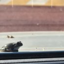 용산면복지회관 이미지