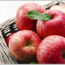 성모튼튼재활의학과의원 이미지