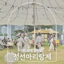 밀양공설운동장 | 강원도 정선 가볼만한곳 정선아리랑제 아리랑시장