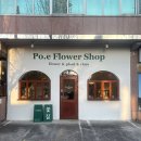 사림동133 | 창원 사림동 꽃집 포에플라워 내돈내산