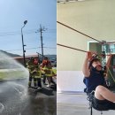 진도초등학교 이미지