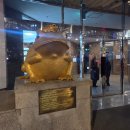 누브의원 | 누브의원 윤곽주사 후기 내돈내산 이중턱 팔자주름