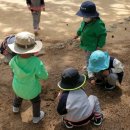 자연아이유치원 이미지