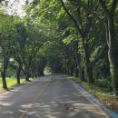 남도대교인증센터 이미지