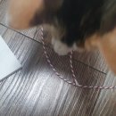 캘리그라피 슈링클스 책갈피 만들기 이미지