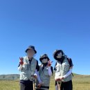 [경기청년기후특사단] 지원 및 활동 Q&amp;A (몽골🇲🇳)