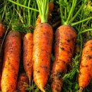 당근수퍼 이미지