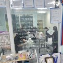 뷰티 앤 도그쇼 이미지