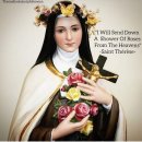 2025년 10월 1일 (백) 아기 예수의 성녀 데레사 동정 학자 기념일 이미지