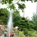 용도수목원 이미지
