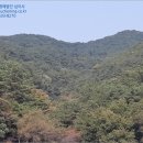 내서읍126 이미지