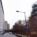 맘스동물약국 이미지