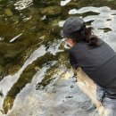 노다지가든 이미지